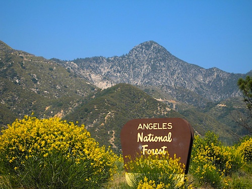 San Gabriel Valley Recreation